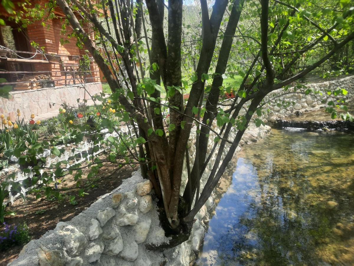 Live Nature Bihać Dış mekan fotoğraf