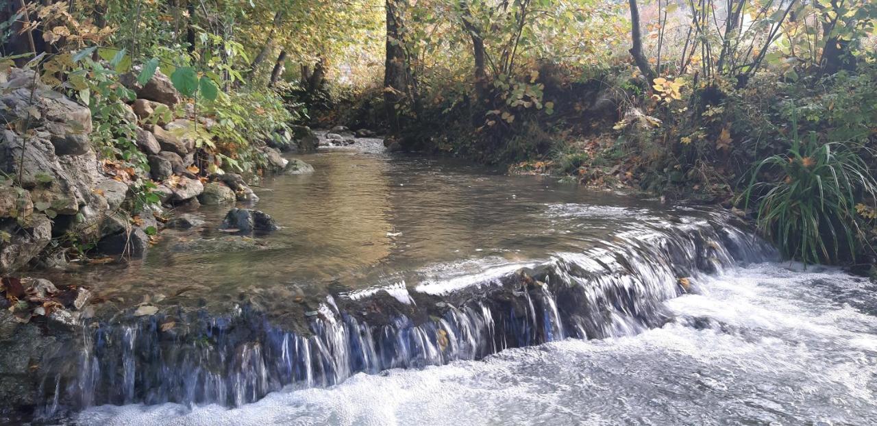 Live Nature Bihać Dış mekan fotoğraf
