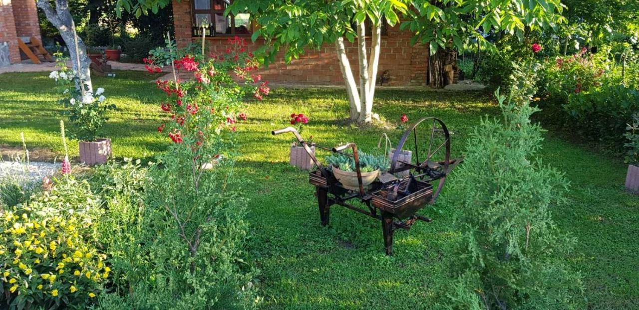 Live Nature Bihać Dış mekan fotoğraf