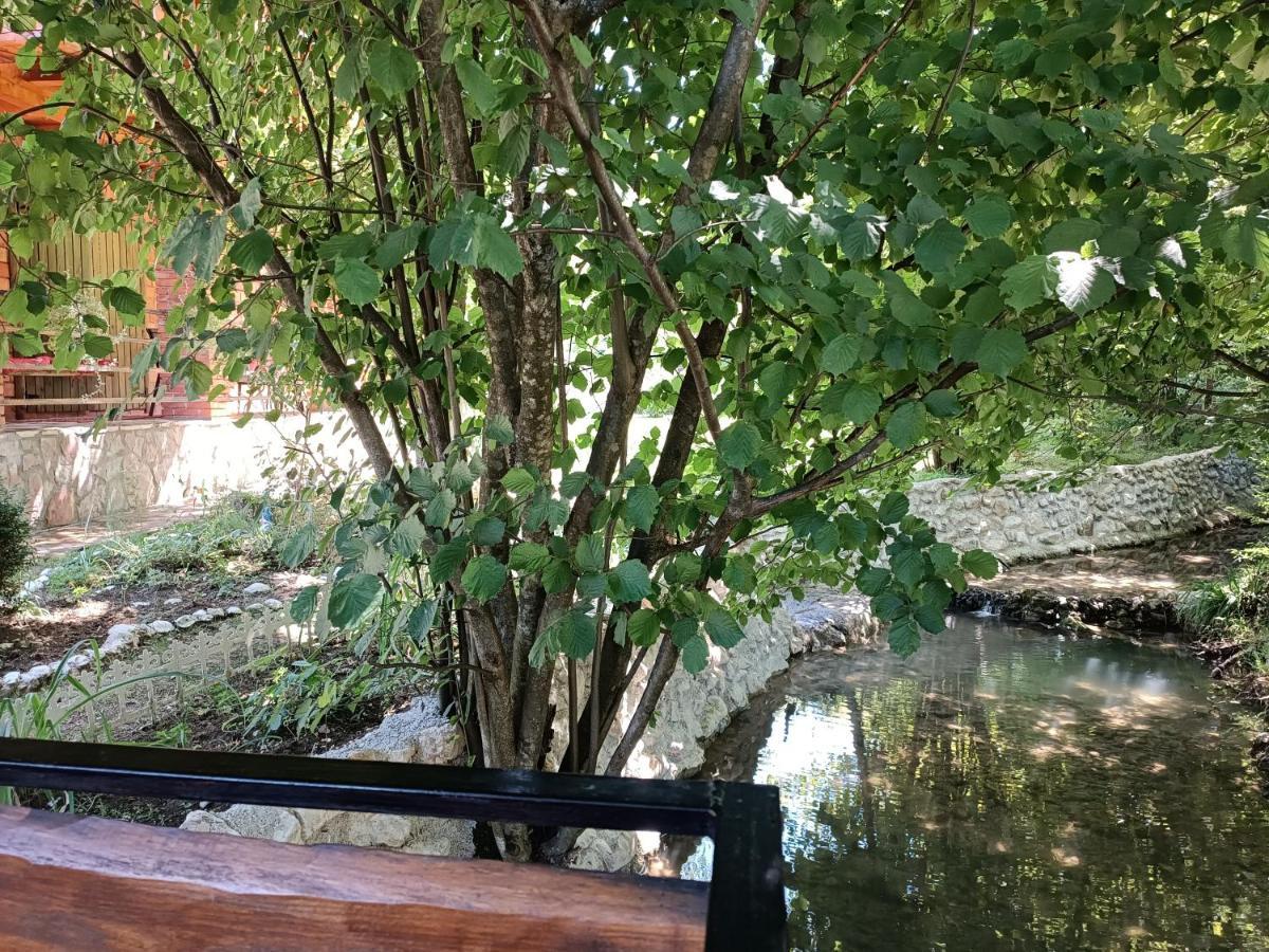Live Nature Bihać Dış mekan fotoğraf