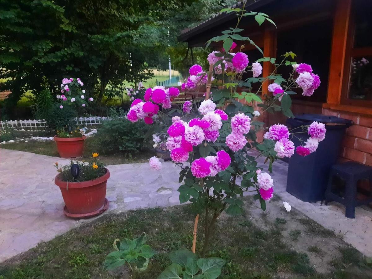 Live Nature Bihać Dış mekan fotoğraf